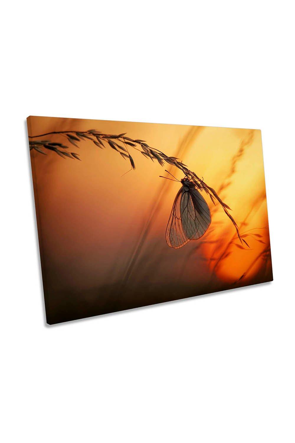 Good Night Sunset Butterfly Orange Canvas Wall Art Picture Print