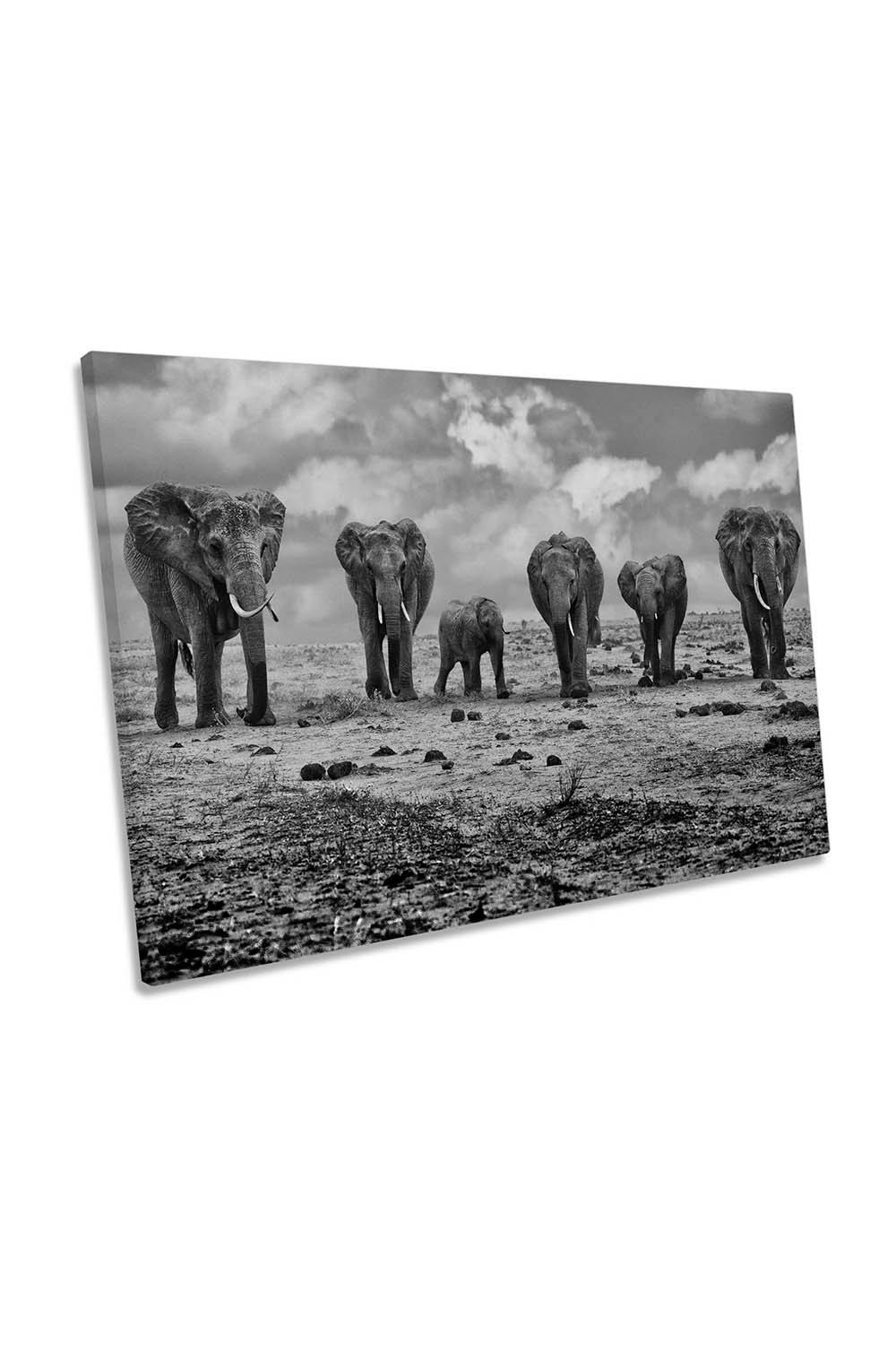 Big Family Elephants Canvas Wall Art Picture Print