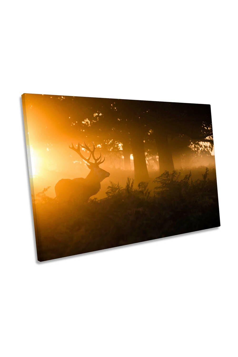 Stag in the Sunset Mist Orange Canvas Wall Art Picture Print