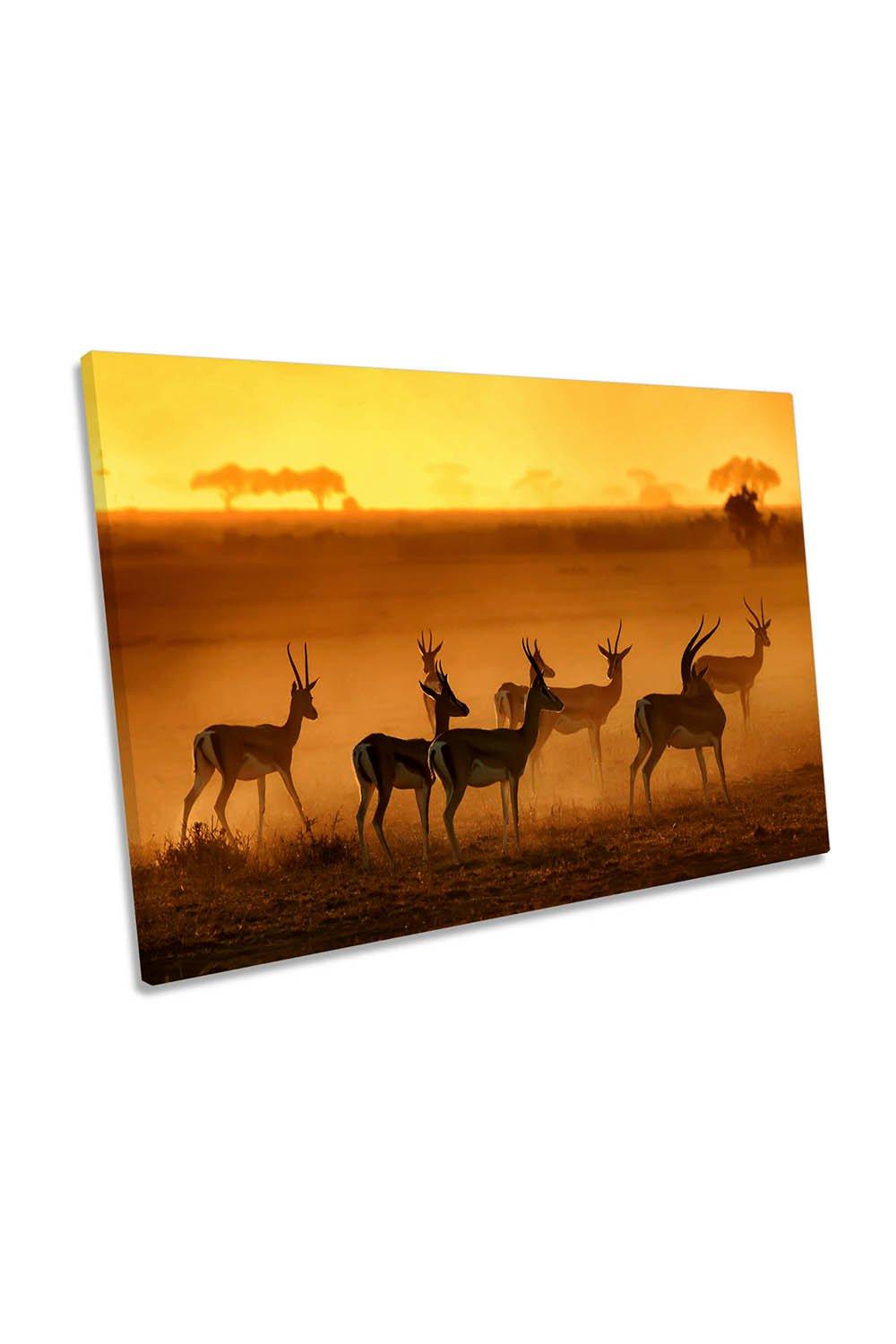 Golden Light Sunset Animals Canvas Wall Art Picture Print