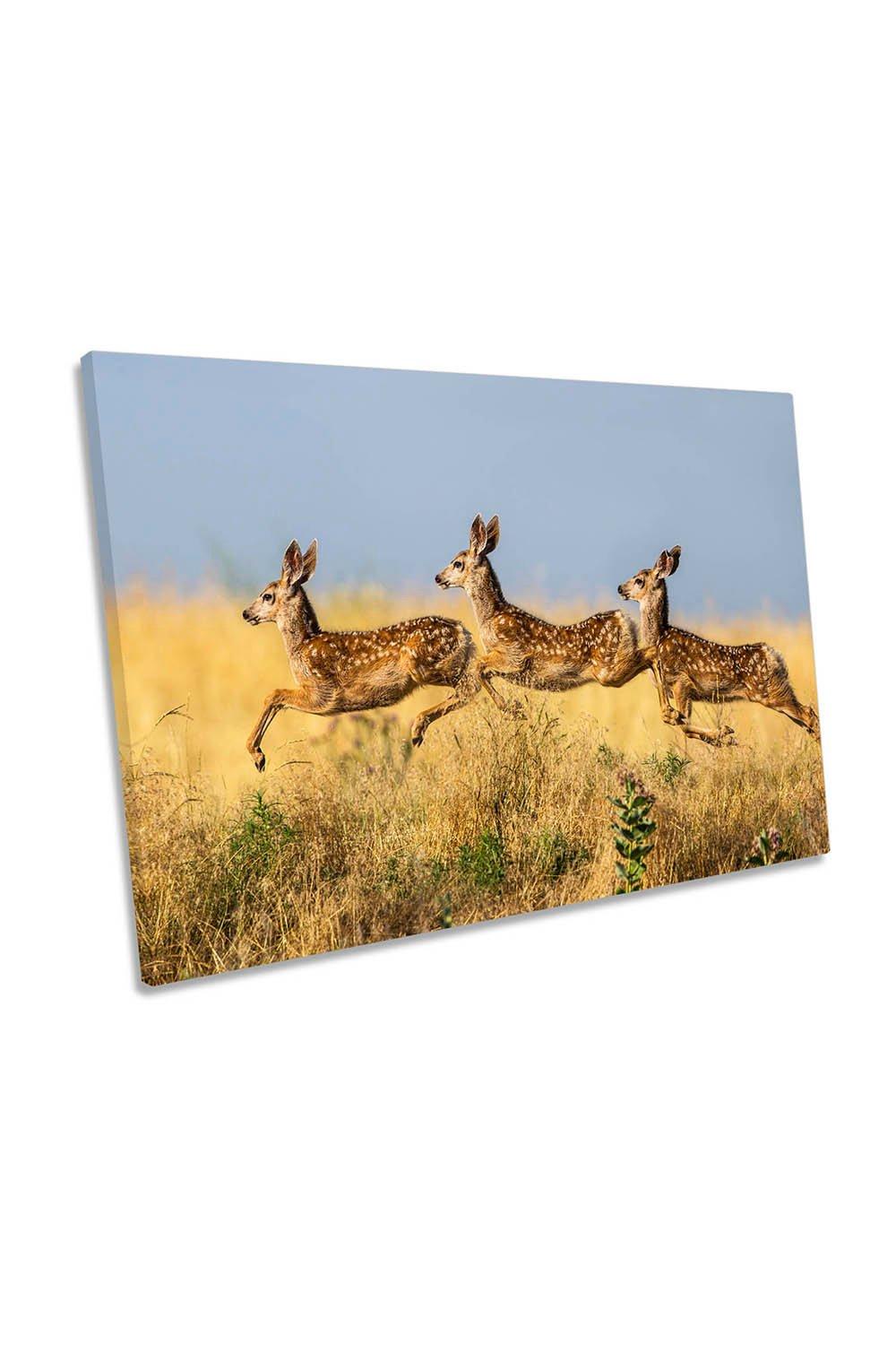 Triple Jump Deers Wildlife Canvas Wall Art Picture Print