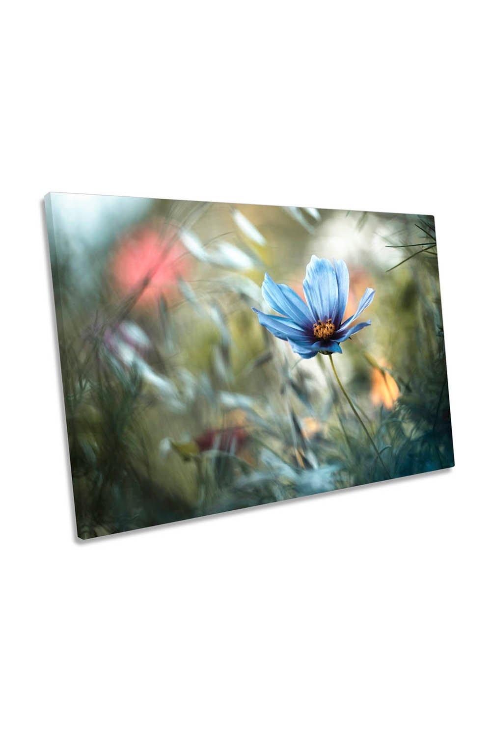Meadow Flowers Floral Garden Canvas Wall Art Picture Print