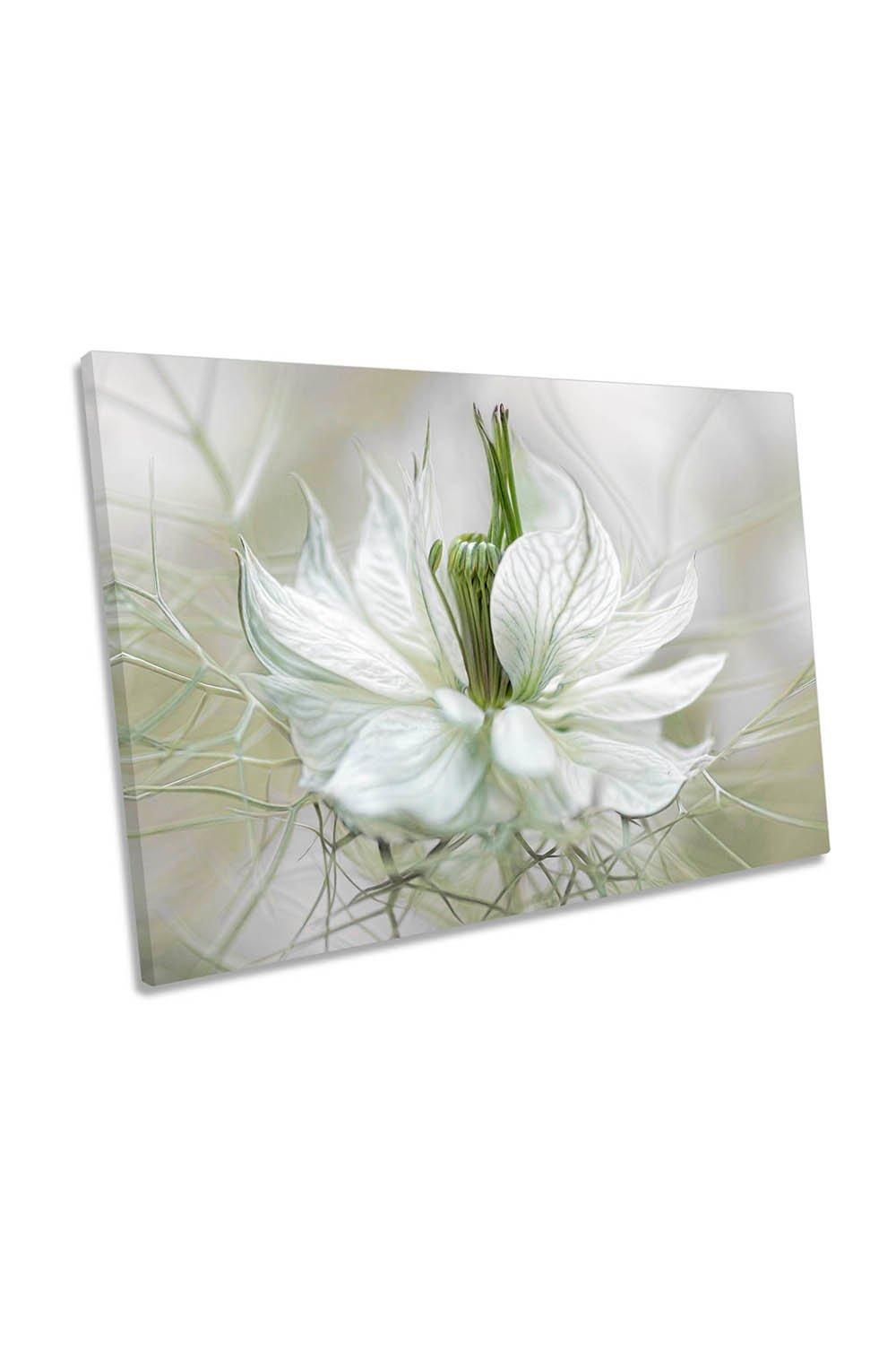 Nigella White Flower Floral Canvas Wall Art Picture Print