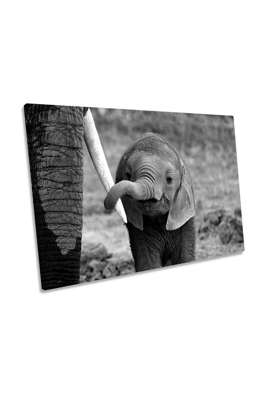 Baby Elephant Wildlife Canvas Wall Art Picture Print