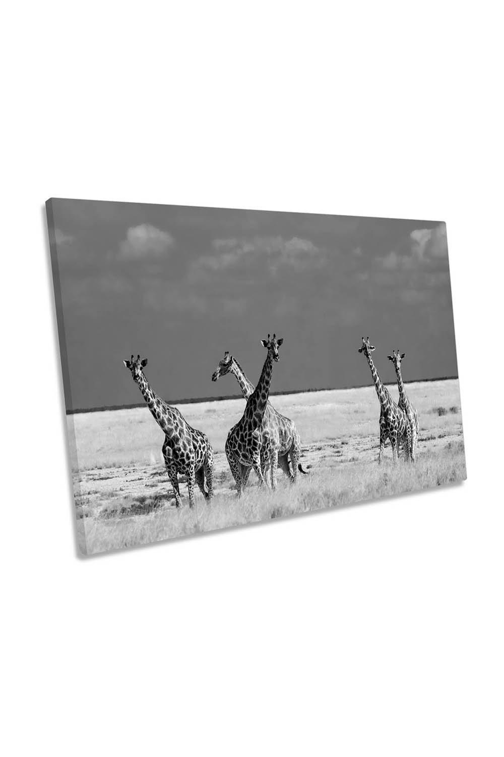Look Girl Strange Animals Giraffes Canvas Wall Art Picture Print