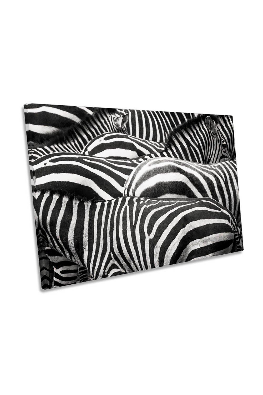Zebras Together Wildlife Canvas Wall Art Picture Print