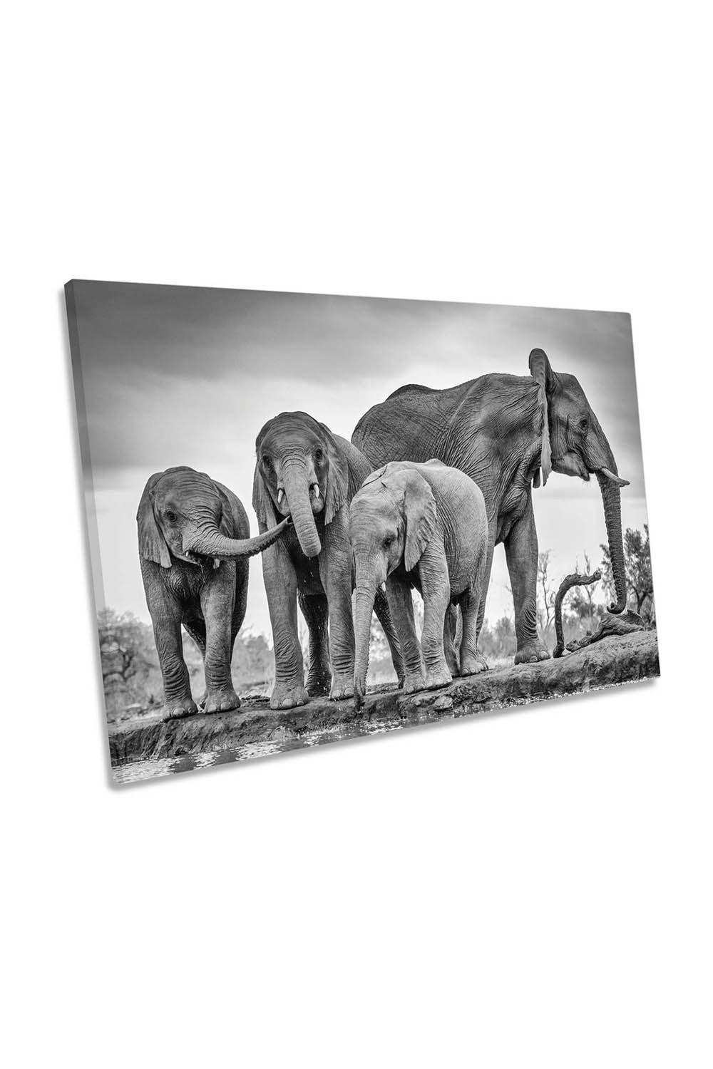 A Giant Unity Elephant Family Canvas Wall Art Picture Print
