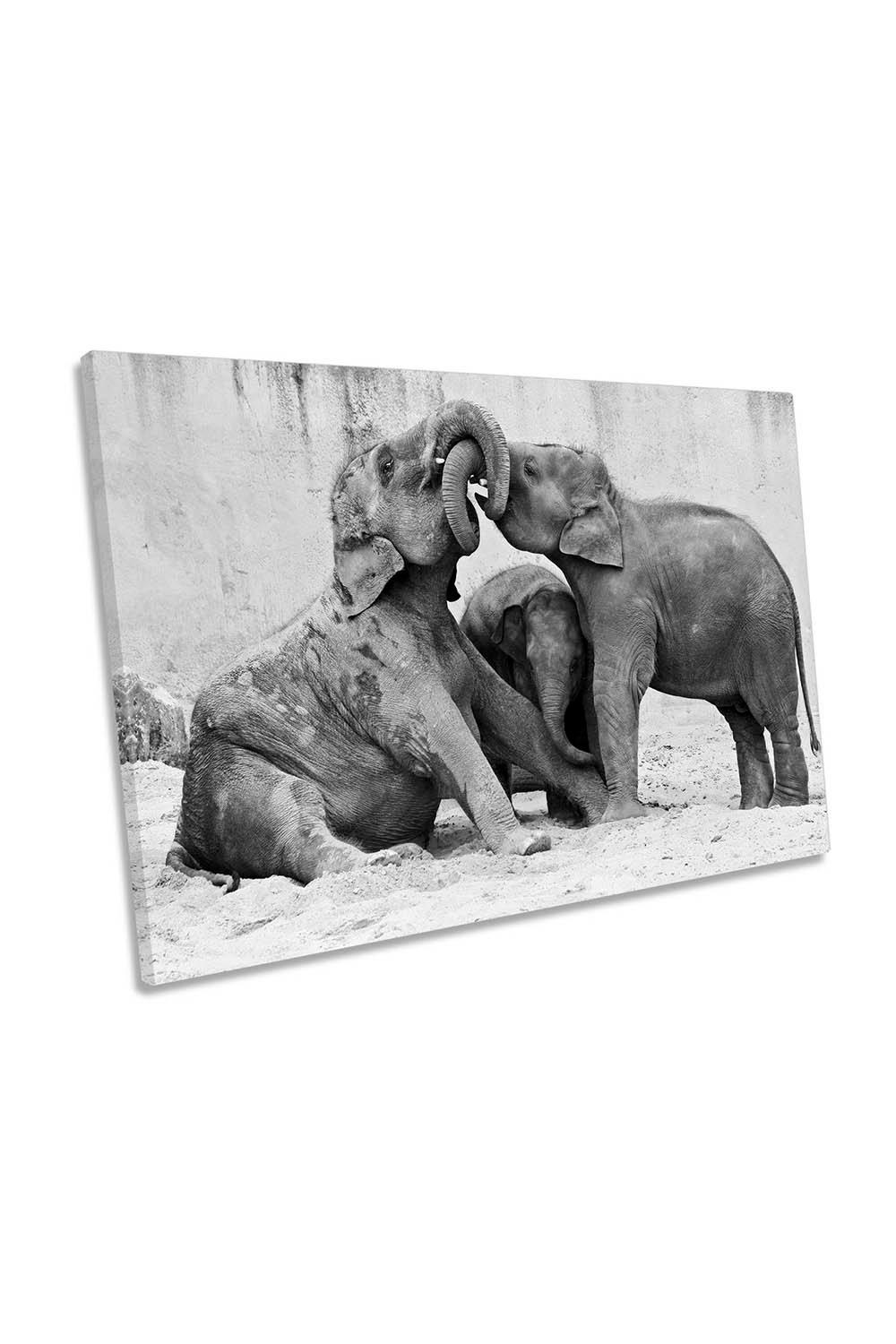Elephants Playing Canvas Wall Art Picture Print