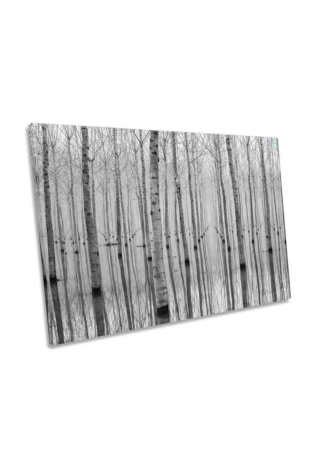 Birch Trees Forest Floral Grey Canvas Wall Art Picture Print