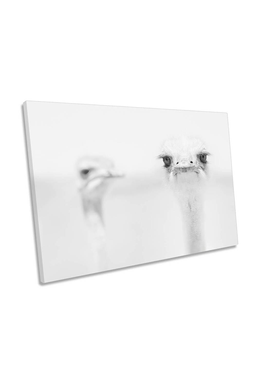 Funny Ostrich Animal Canvas Wall Art Picture Print