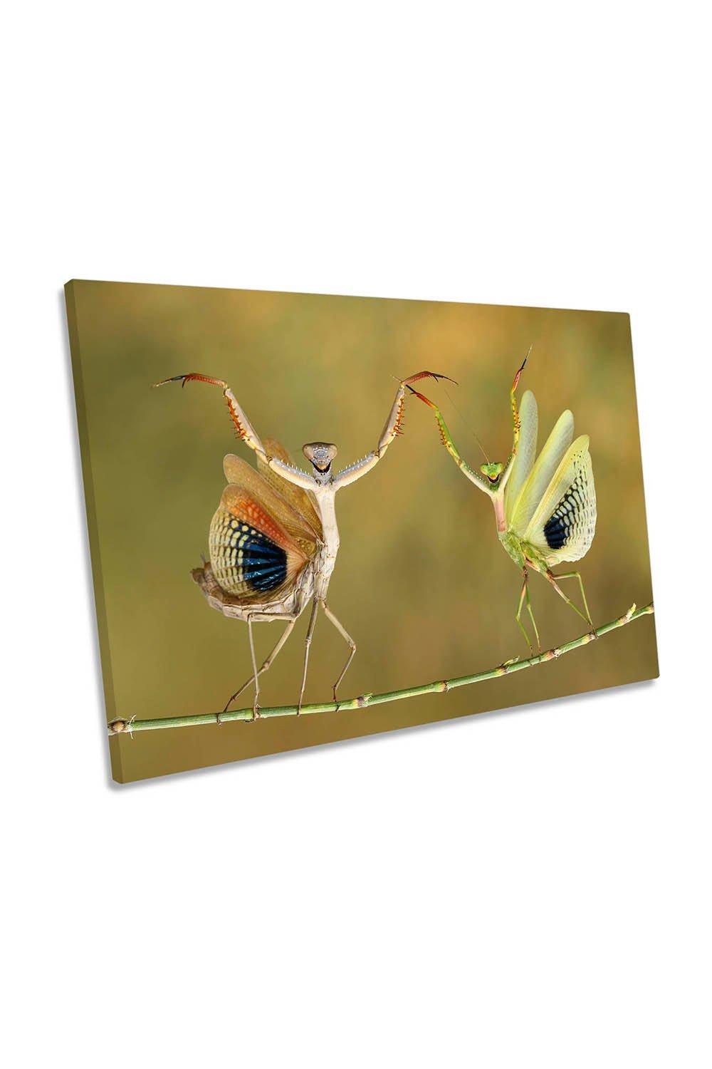 Showtime Funny Insect Dance Canvas Wall Art Picture Print