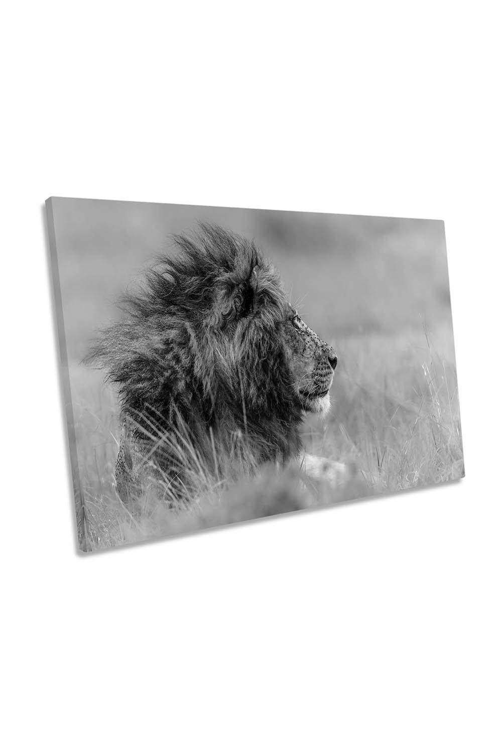 The King is Alone Lion Wildlife Canvas Wall Art Picture Print