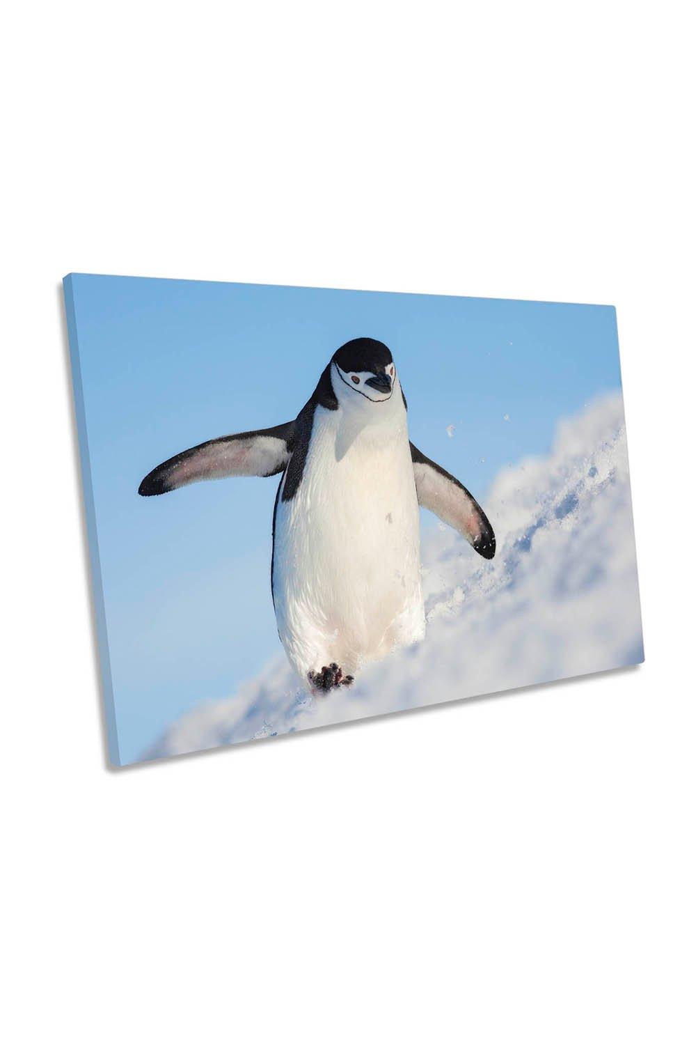 Running up that Hill Penguin Canvas Wall Art Picture Print