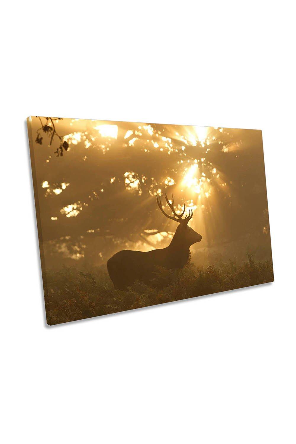 Ghost of the Forest Stag Deer Sunset Canvas Wall Art Picture Print