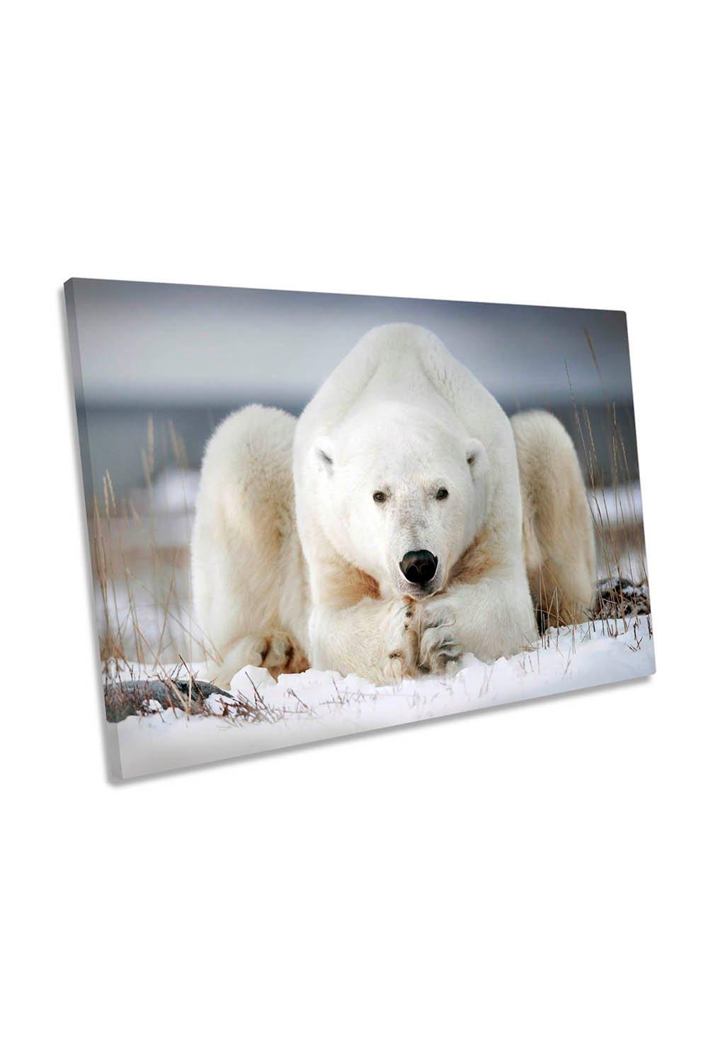 Polar Bear Wildlife Nature Canvas Wall Art Picture Print