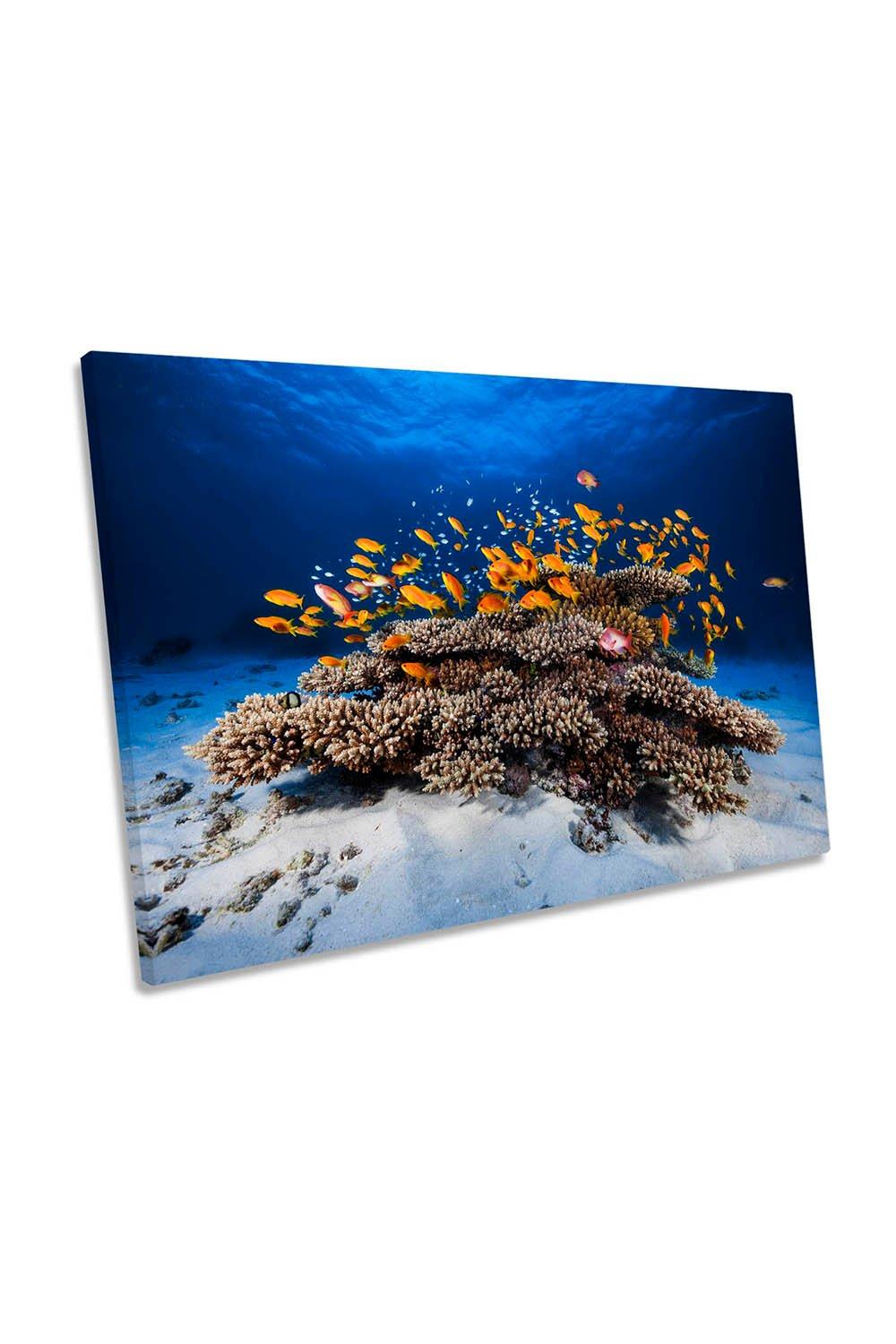 Marine Life Fish Coral Tropical Canvas Wall Art Picture Print