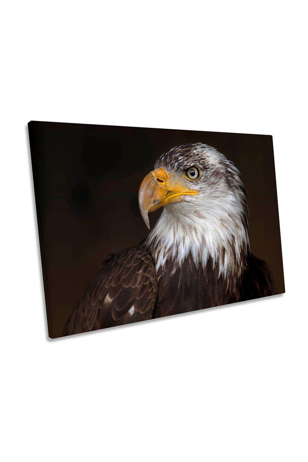 Bald Eagle Bird Animal Canvas Wall Art Picture Print