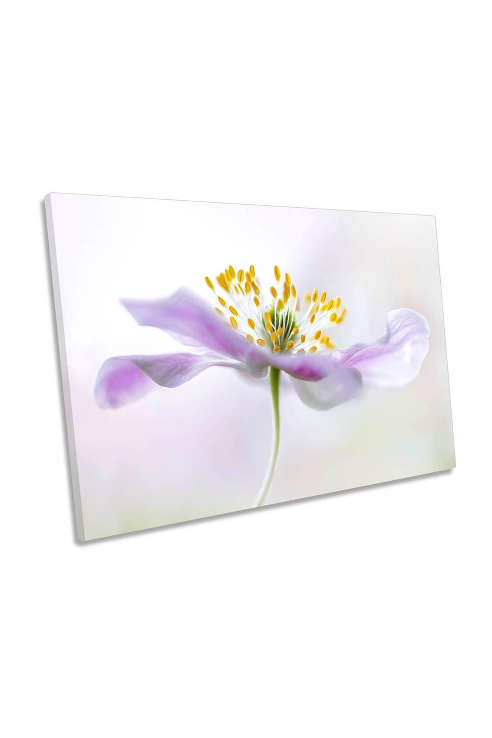 Anemone Flower Floral Purple Canvas Wall Art Picture Print