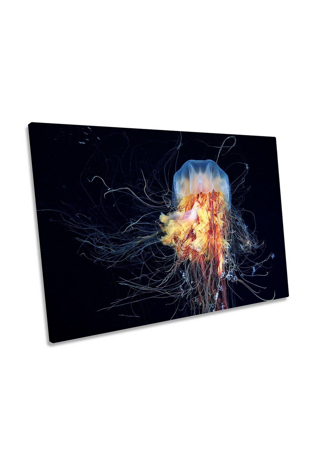 Giant Lion's Mane Jellyfish Canvas Wall Art Picture Print