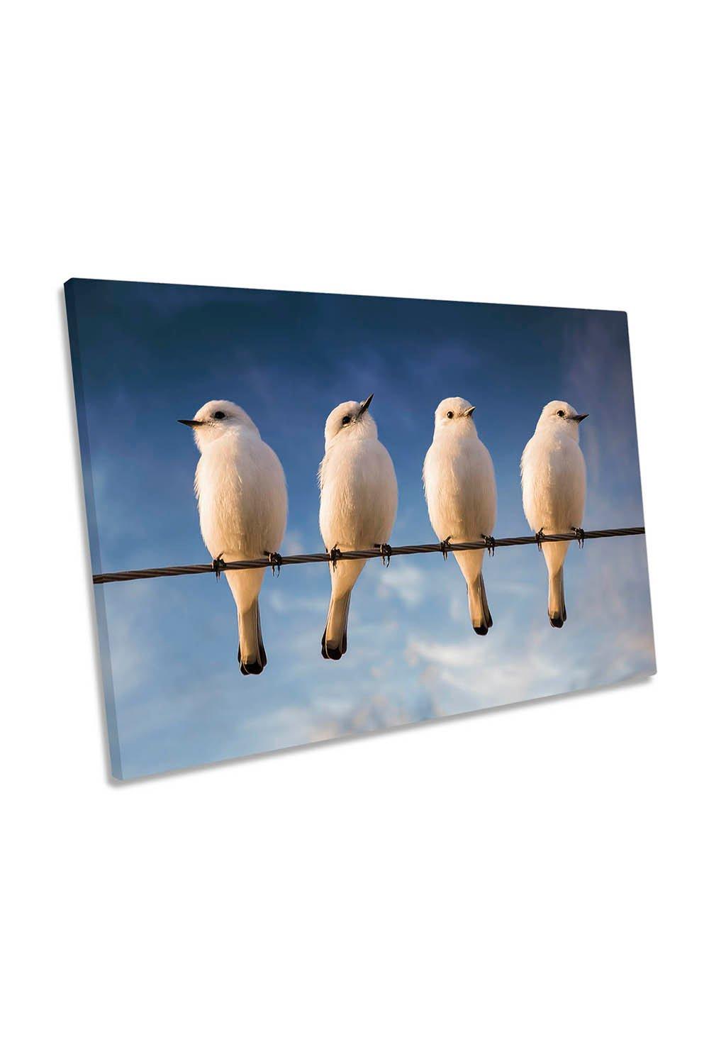 White Monjita Dove Birds Canvas Wall Art Picture Print