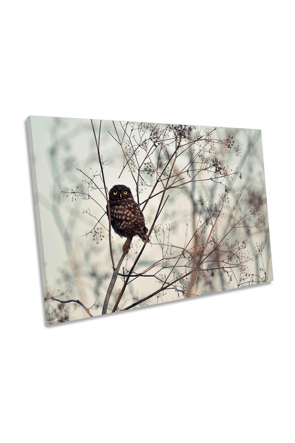 Look at Me Owl Bird Wildlife Canvas Wall Art Picture Print