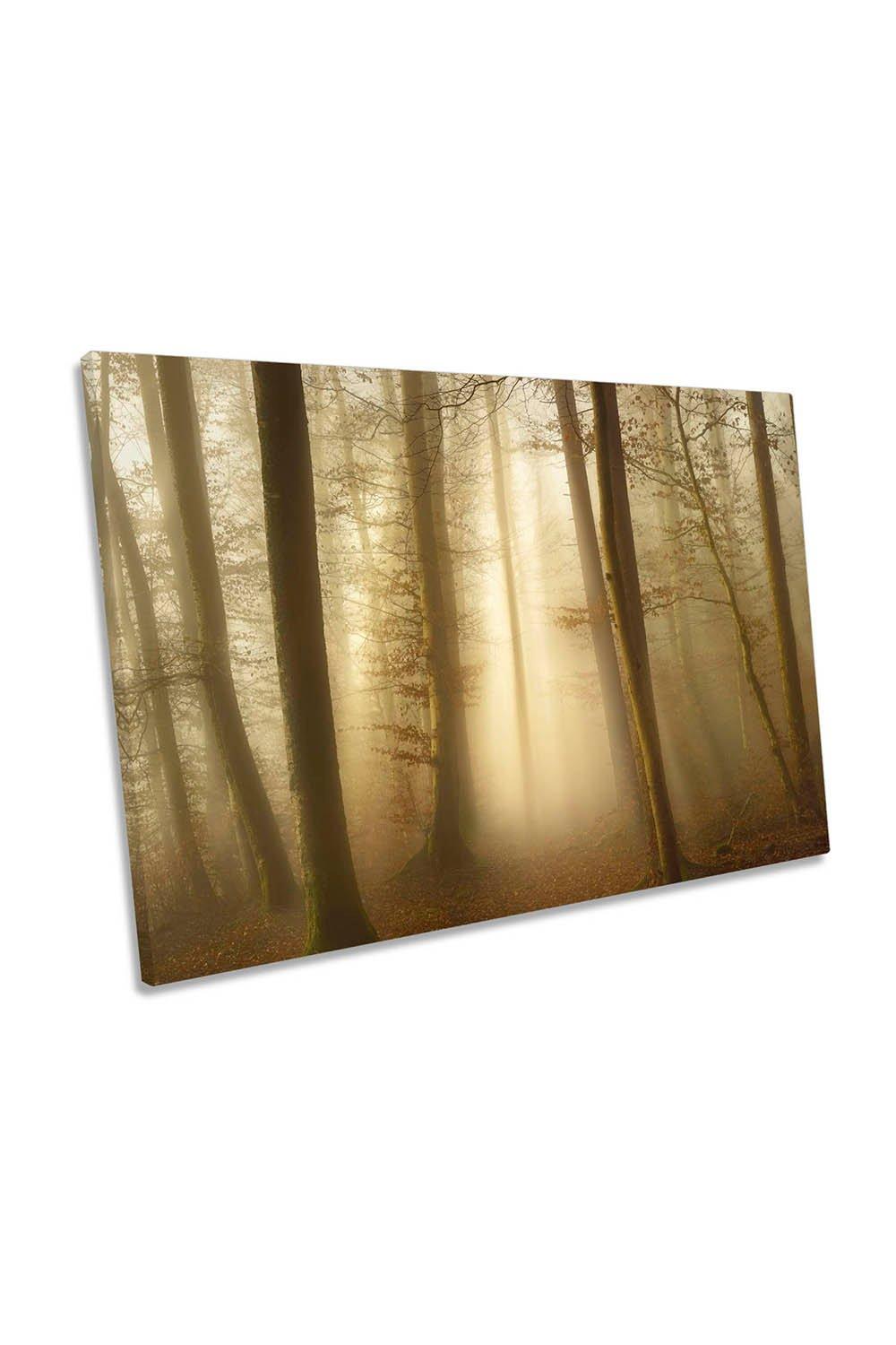 Into the Trees Misty Forest Morning Canvas Wall Art Picture Print