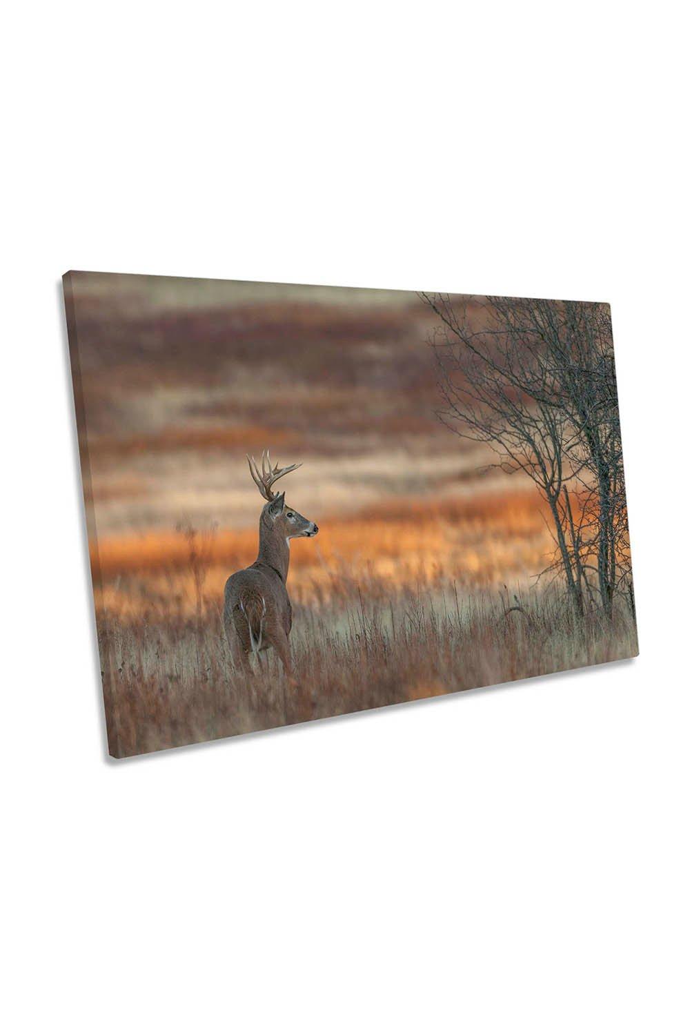 Last Light Whitetail Deer Antlers Canvas Wall Art Picture Print
