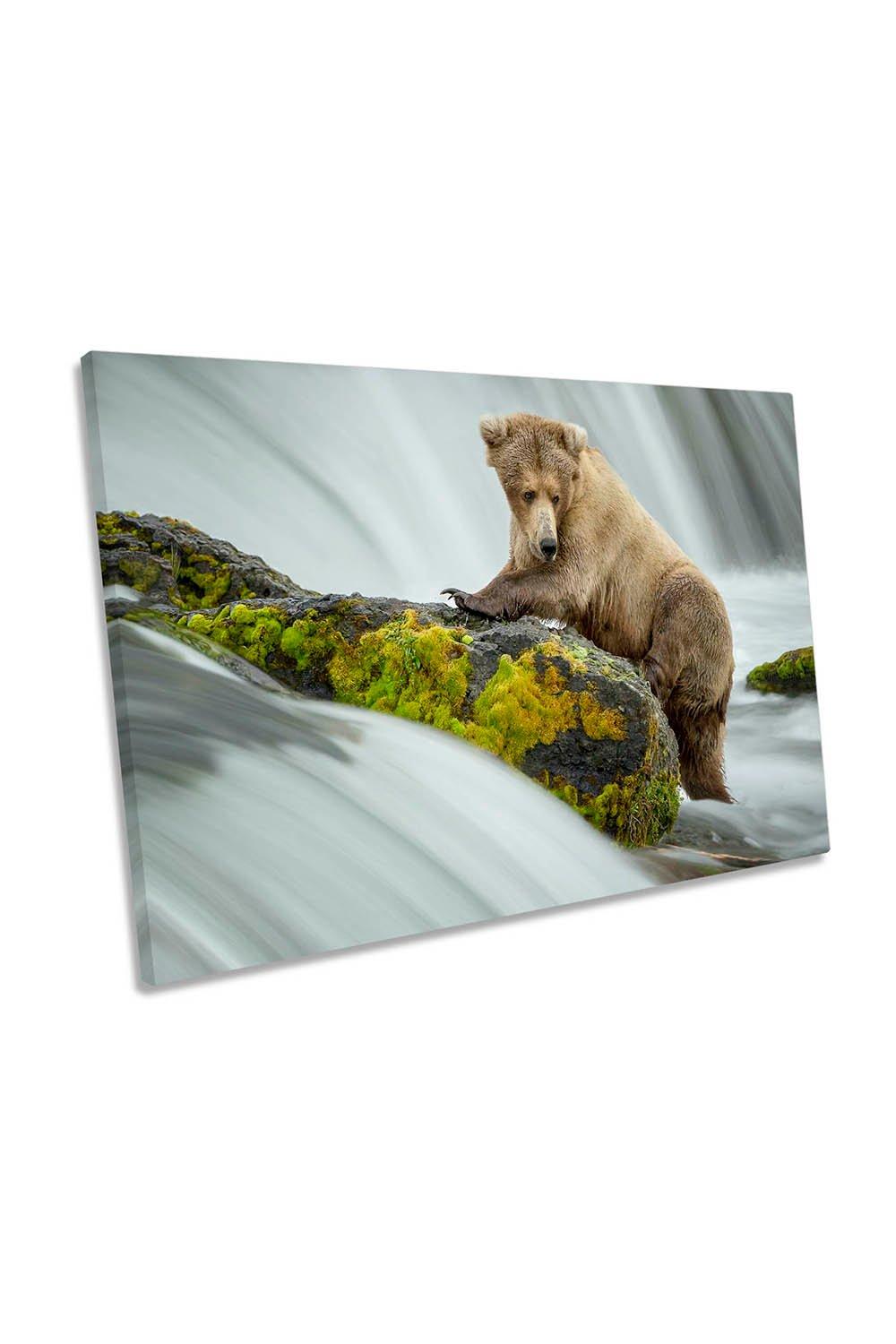 Left Waiting Bear Fishing Waterfall Canvas Wall Art Picture Print