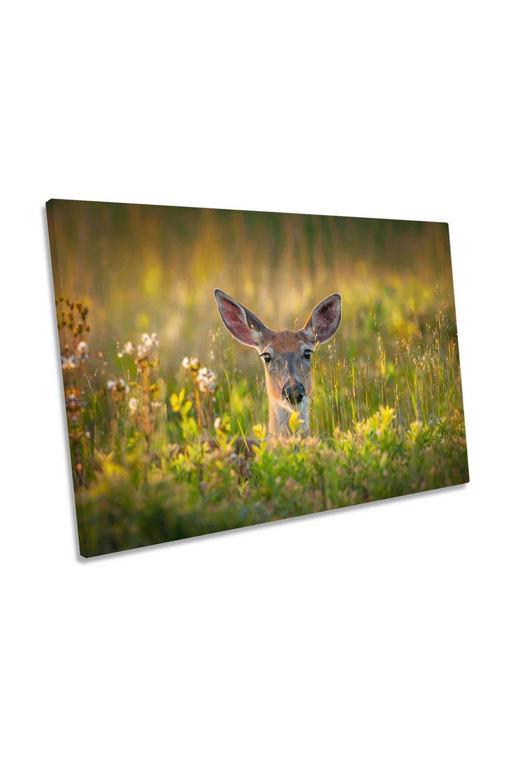 Looking Autumn Deer Wildlife Canvas Wall Art Picture Print
