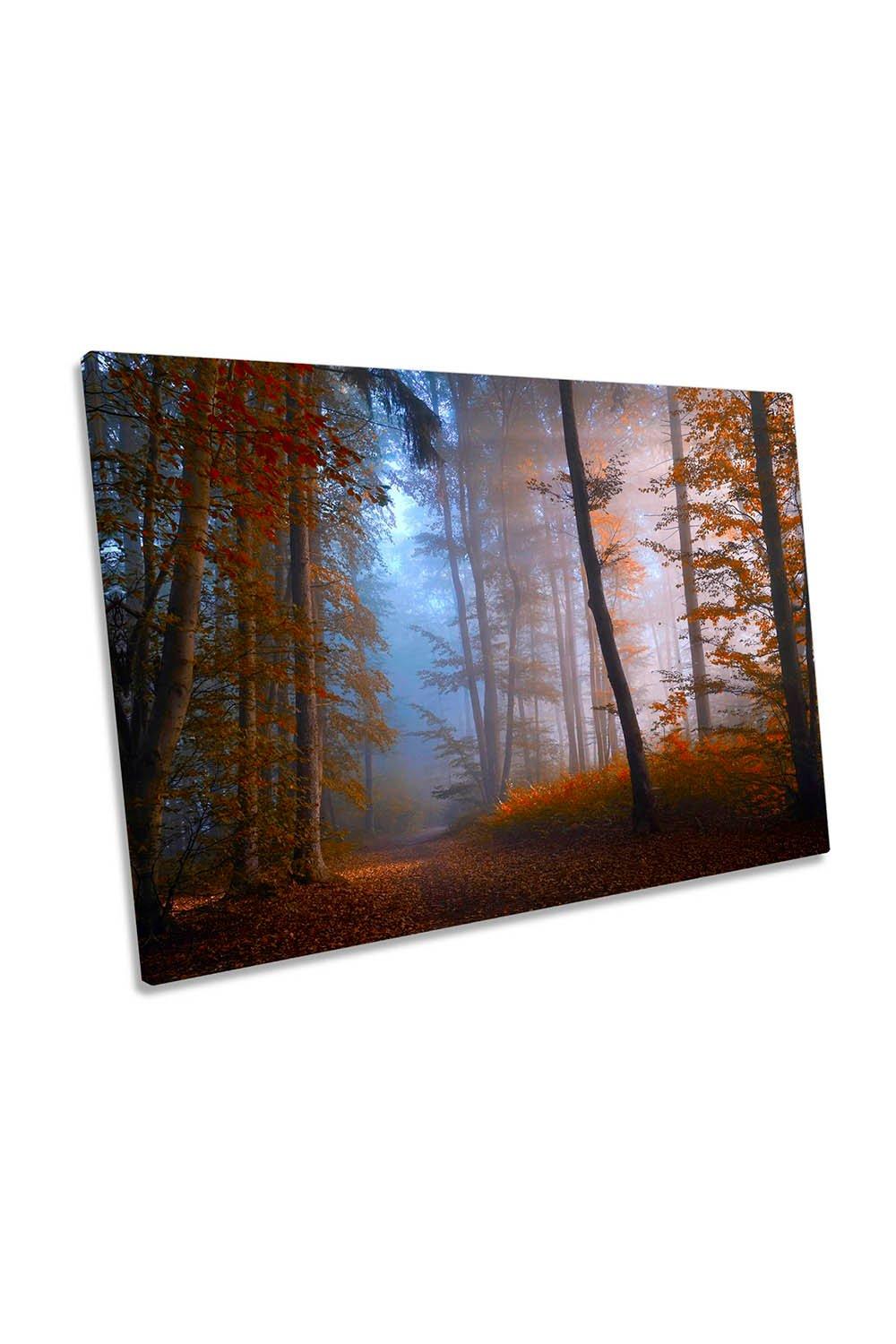 Autumn Colours Forest Sunset Canvas Wall Art Picture Print