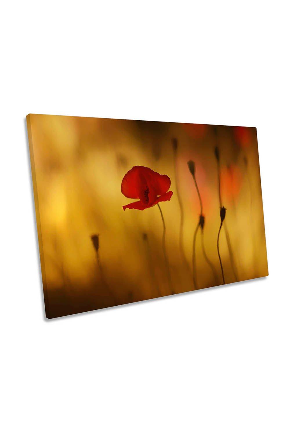 Red Poppy Sunset Flowers Floral Canvas Wall Art Picture Print