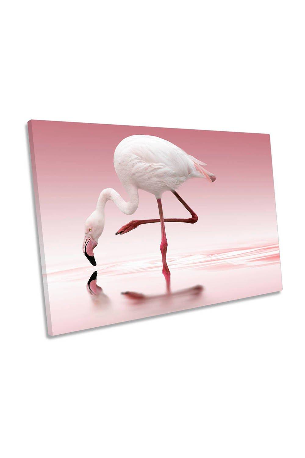 Pink Flamingo Water Birds Canvas Wall Art Picture Print