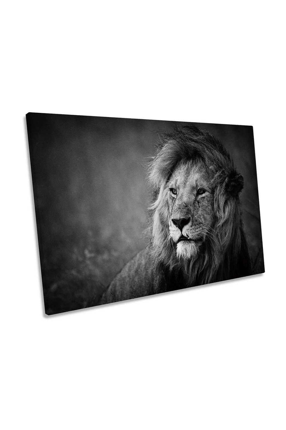Regal Lion Wildlife Animal Canvas Wall Art Picture Print
