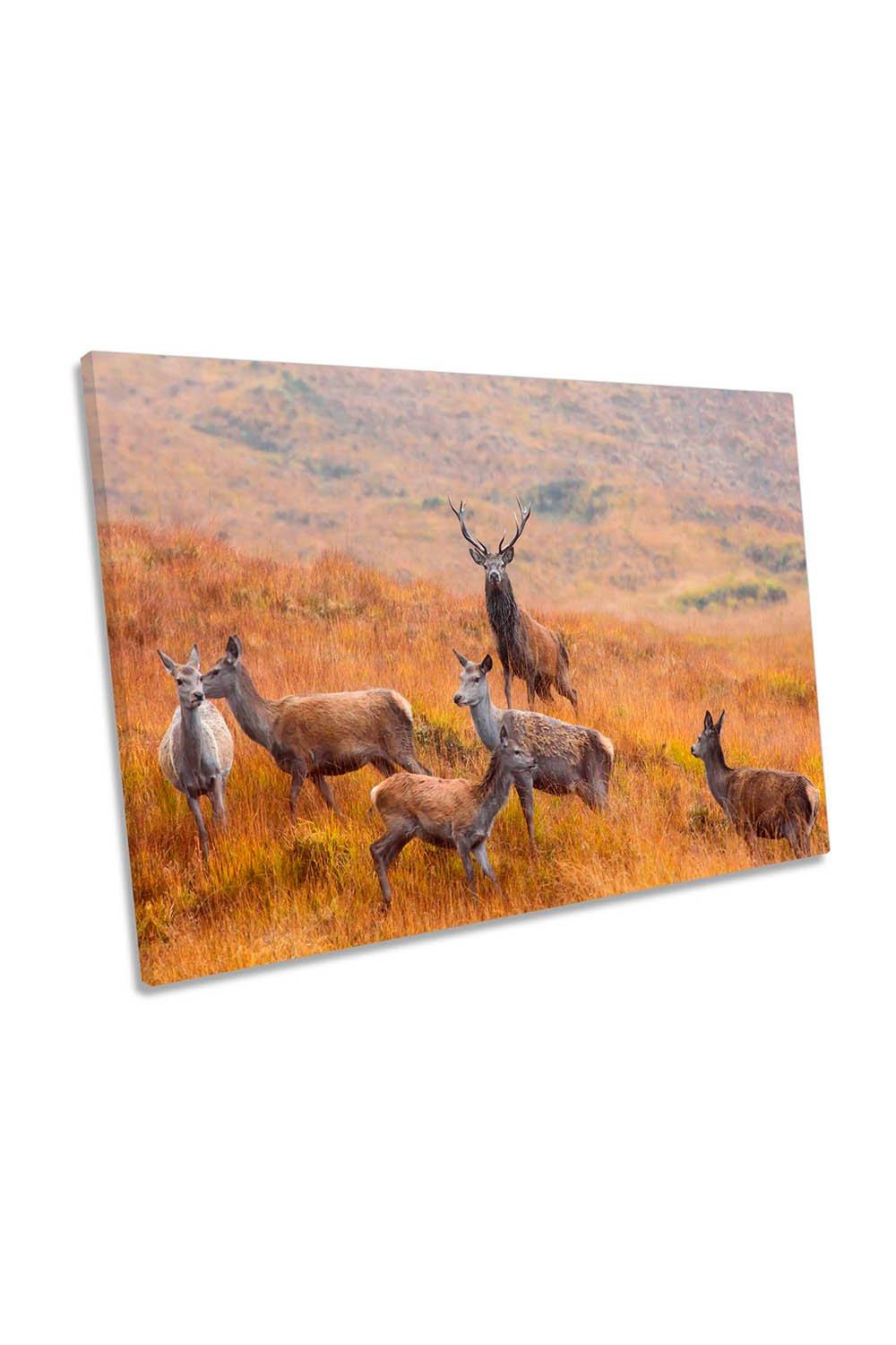 Guardian of the Moorland Stag Deer Canvas Wall Art Picture Print