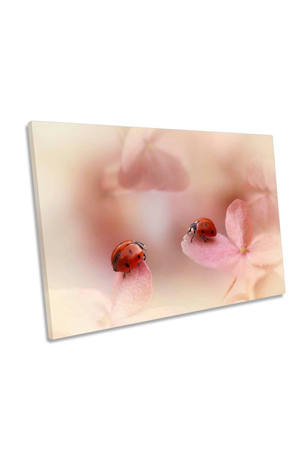 Ladybirds on Pink Hydrangea Flower Canvas Wall Art Picture Print