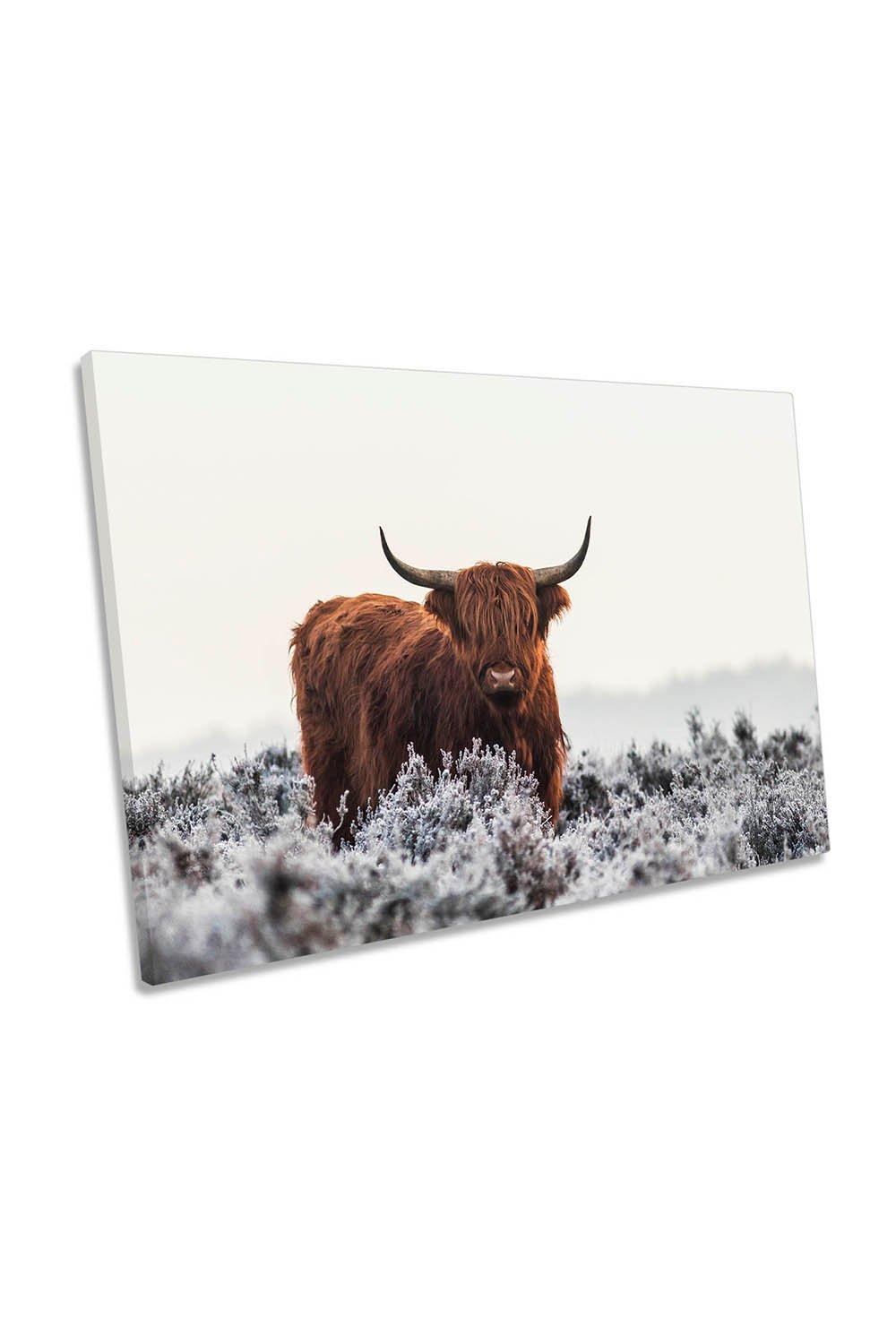 Highland Cow Winter Frost Canvas Wall Art Picture Print