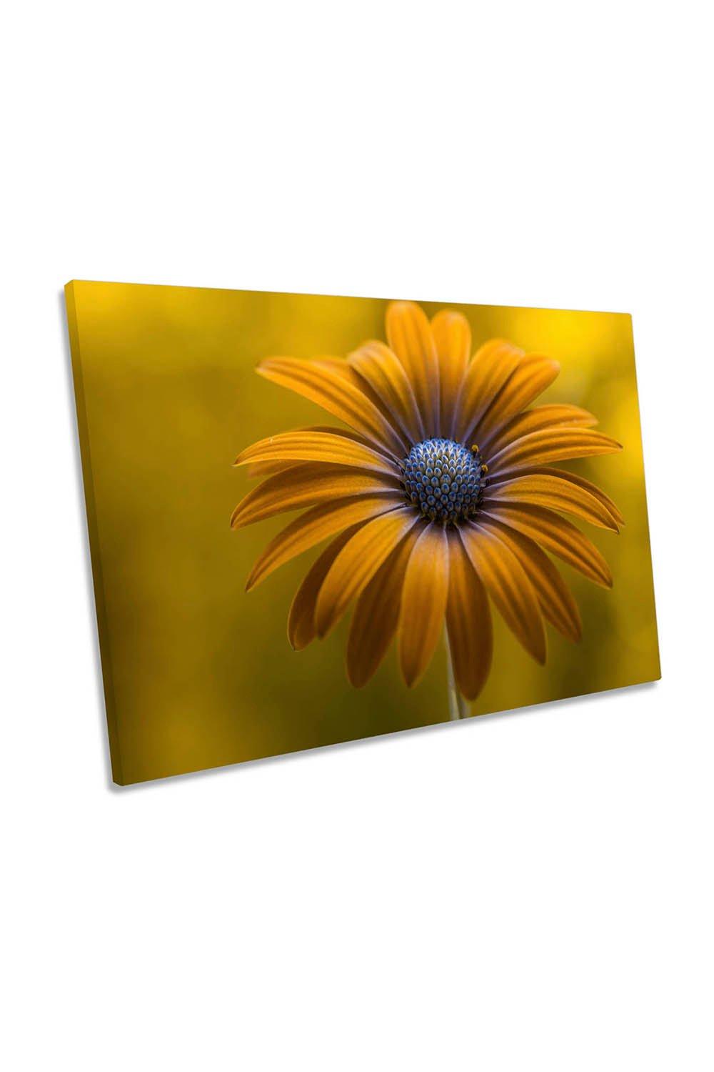 Sunshine Daisy Flower Yellow Floral Canvas Wall Art Picture Print