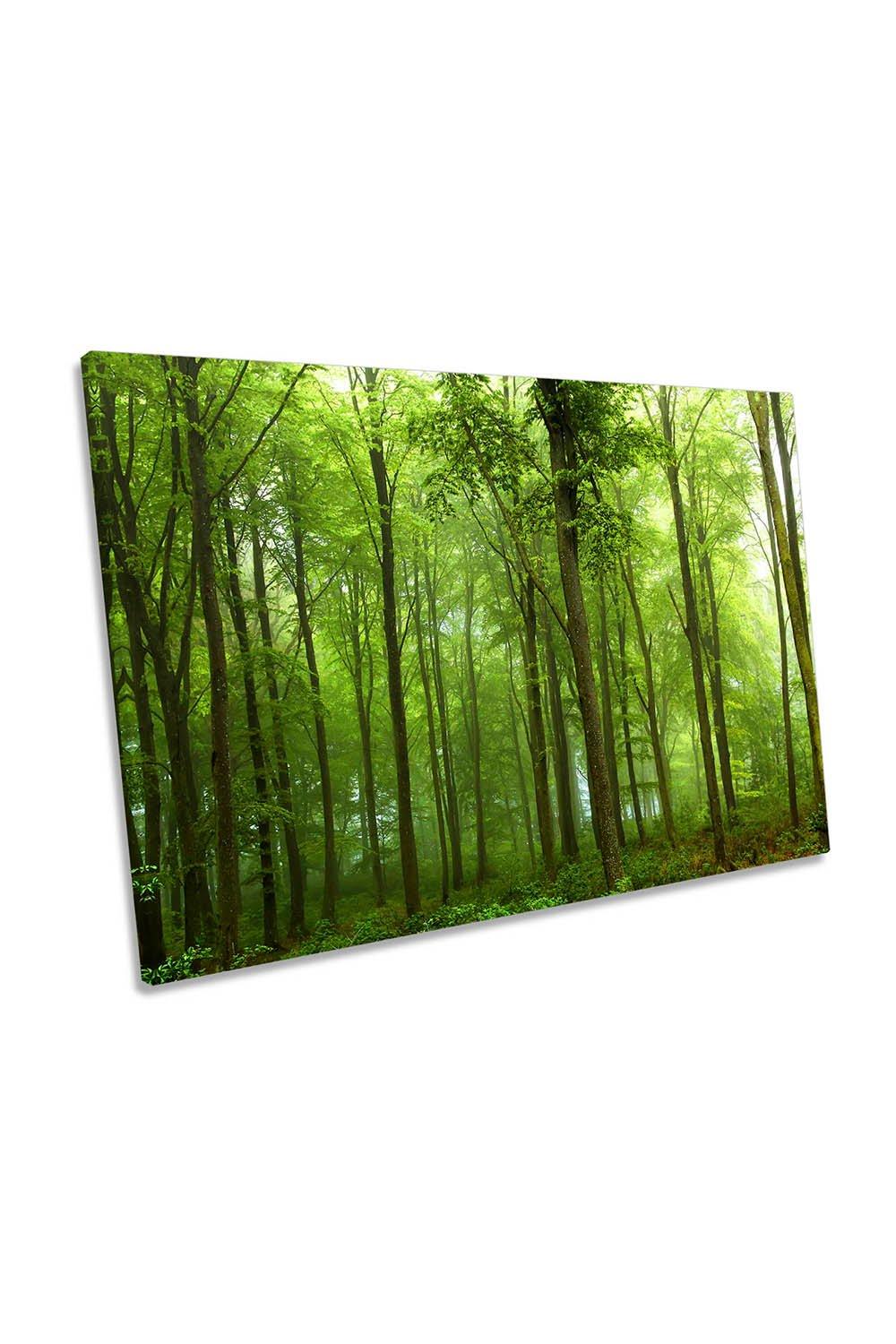 Green Forest Landscape Trees Canvas Wall Art Picture Print