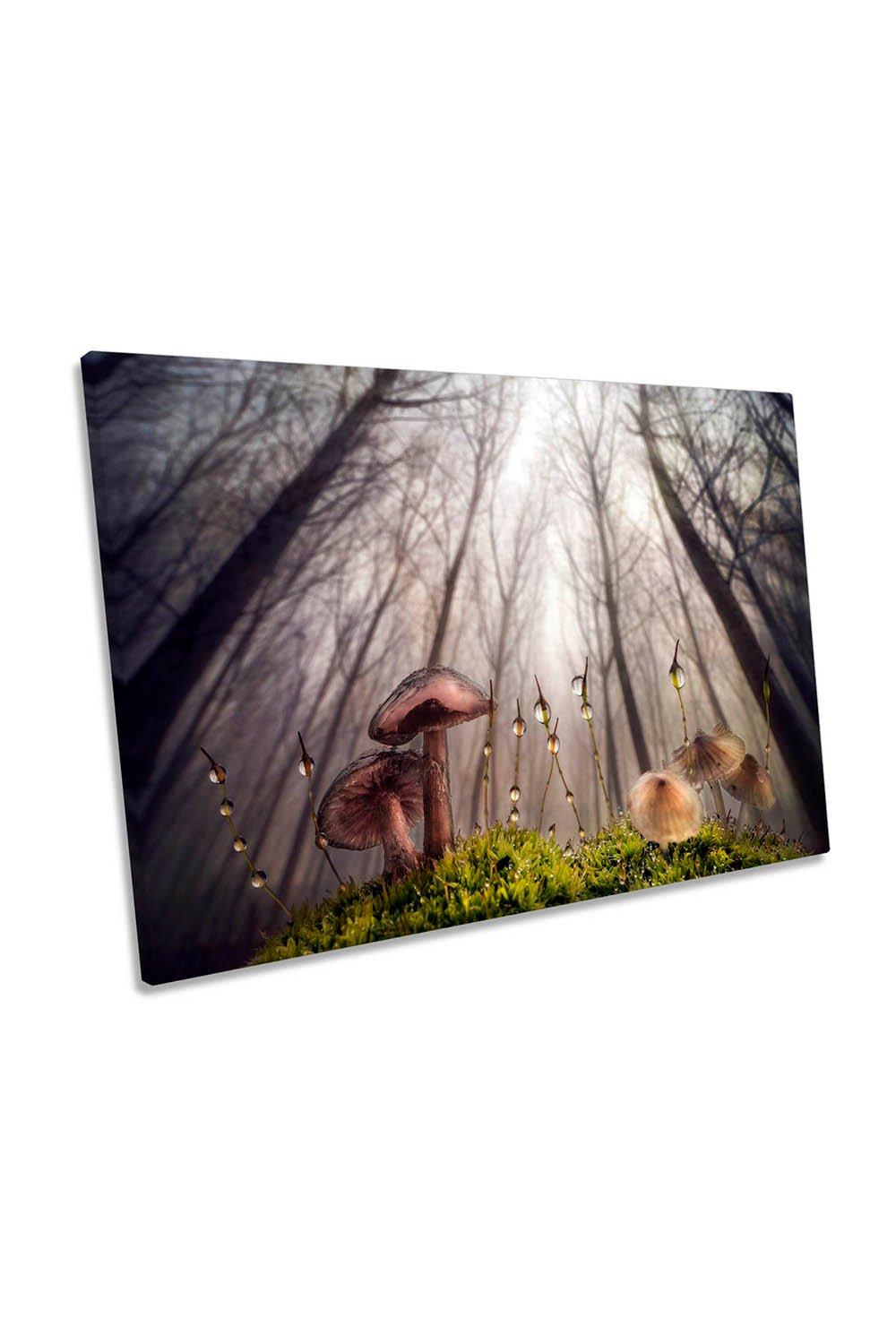 Mushrooms of the Woods Forest Canvas Wall Art Picture Print