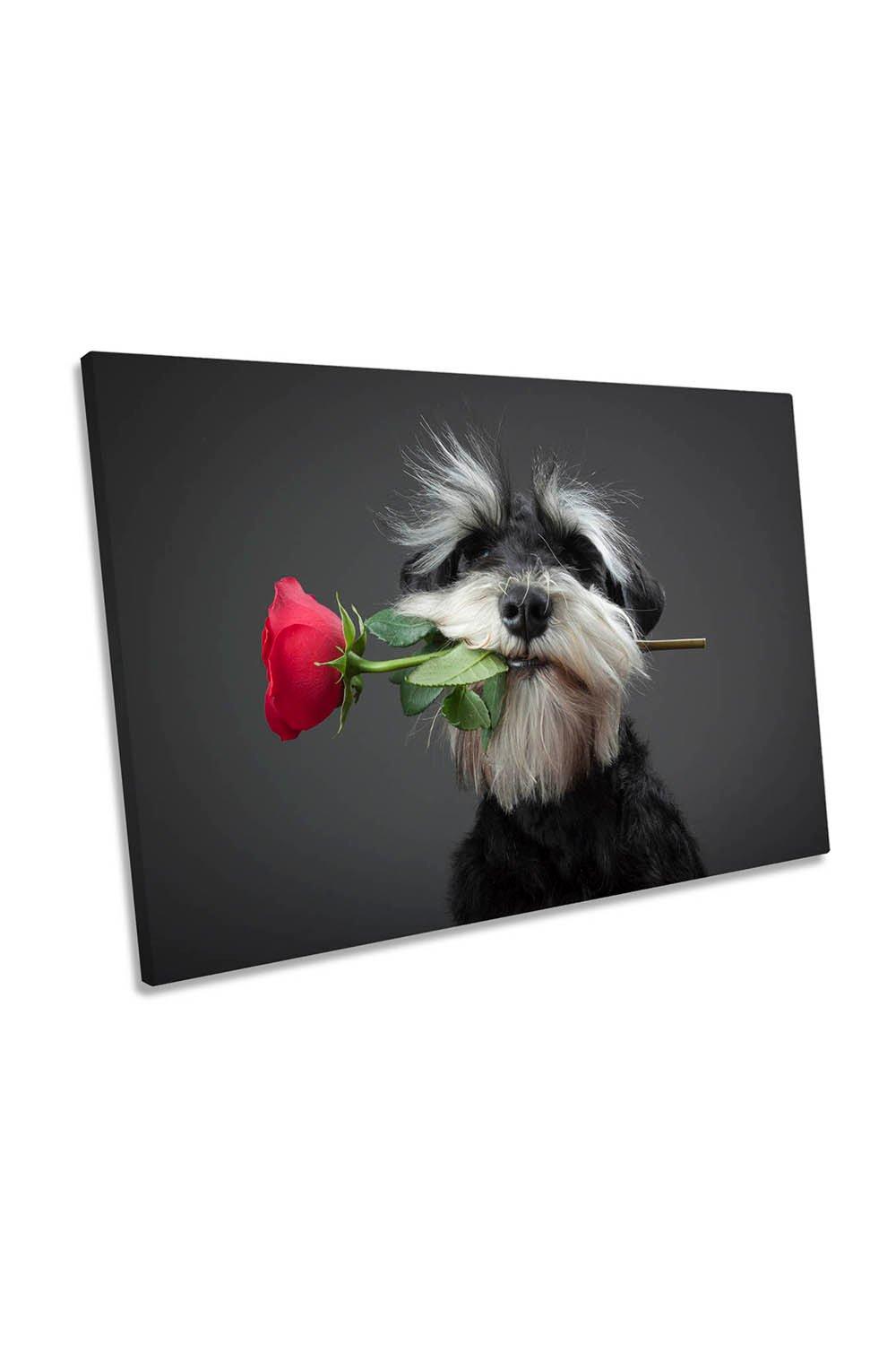 Tango Dancer Dog Rose Flower Canvas Wall Art Picture Print