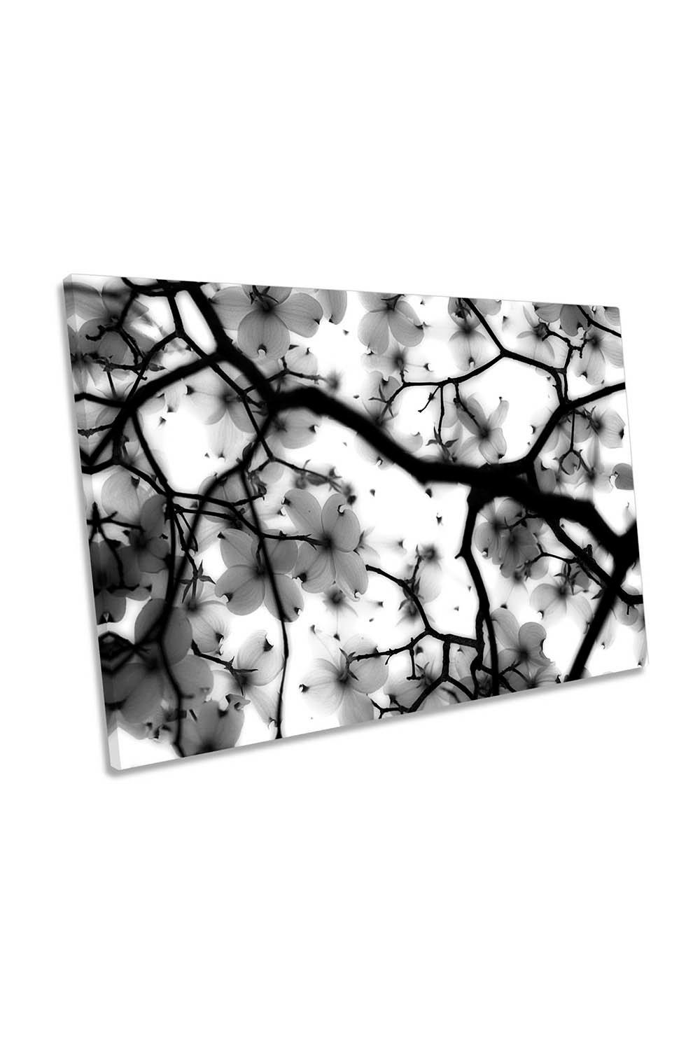 Black and White Floral Flowers Canvas Wall Art Picture Print