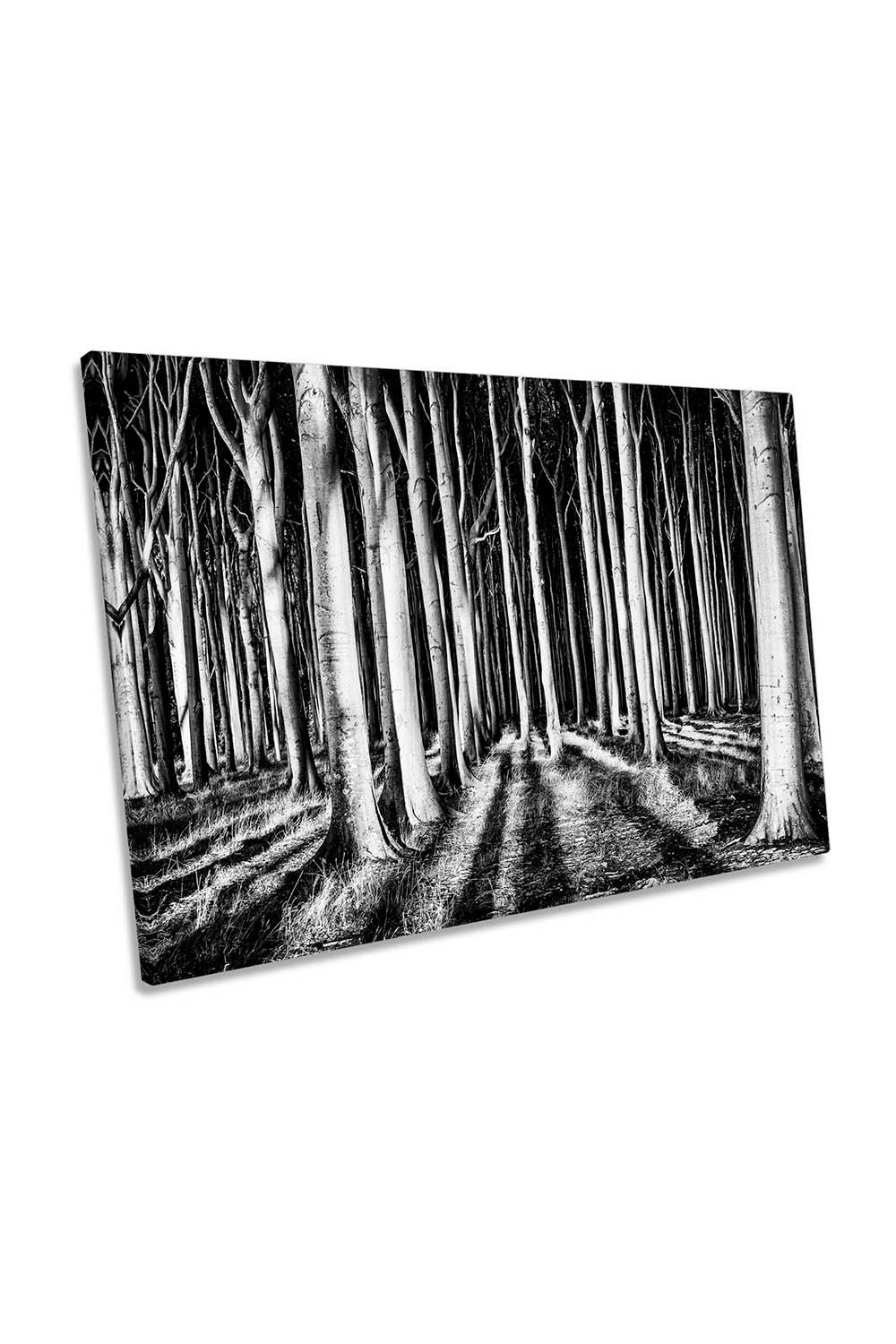 Ghost Forest Tree Shadows Canvas Wall Art Picture Print