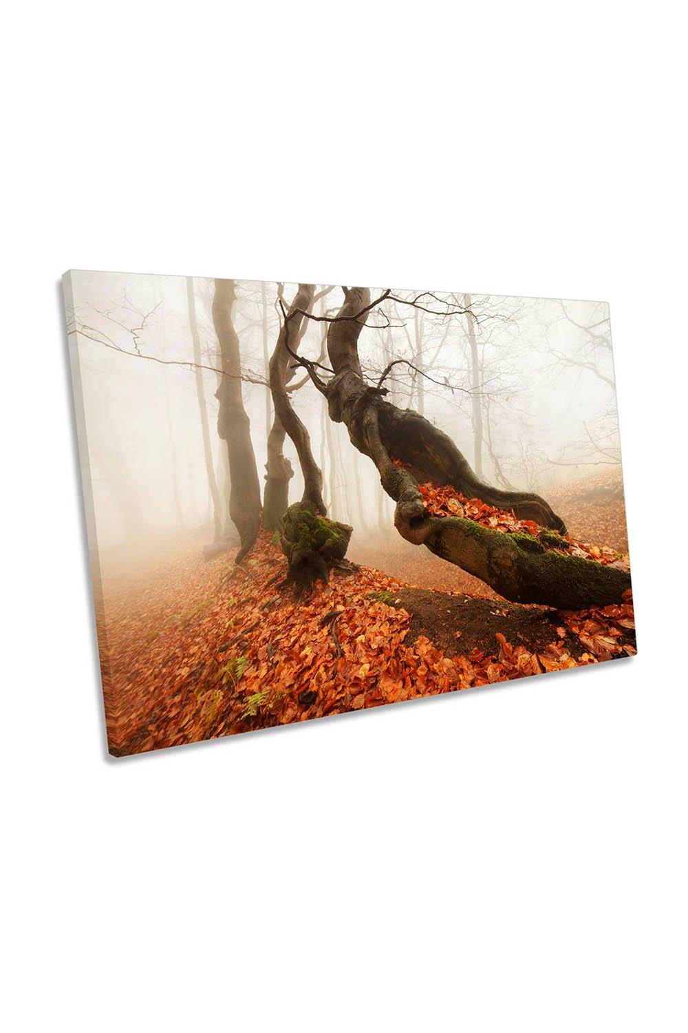 Aging Autumn Forest Trees Orange Canvas Wall Art Picture Print