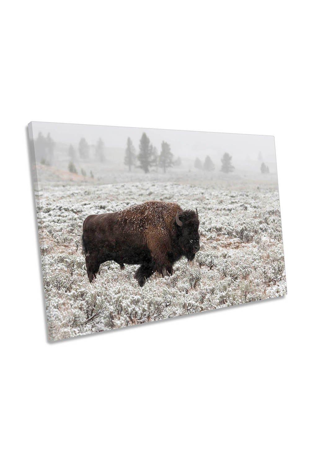Bison Buffalo Wildlife Winter Landscape Canvas Wall Art Picture Print