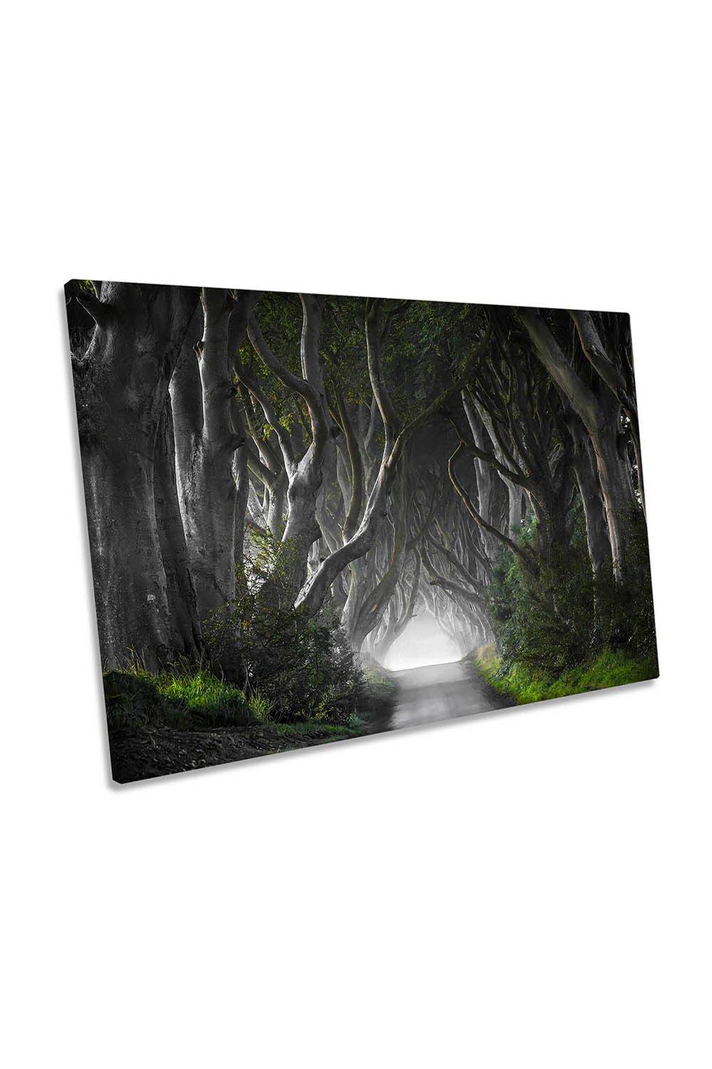 Dark Hedges Forest Trees Canvas Wall Art Picture Print