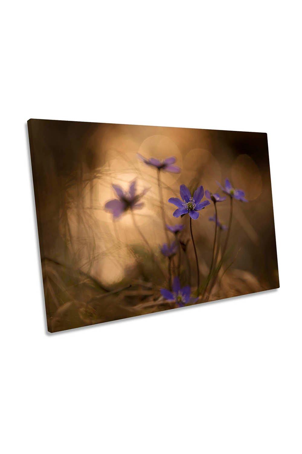 Towards Evening Flowers Floral Canvas Wall Art Picture Print