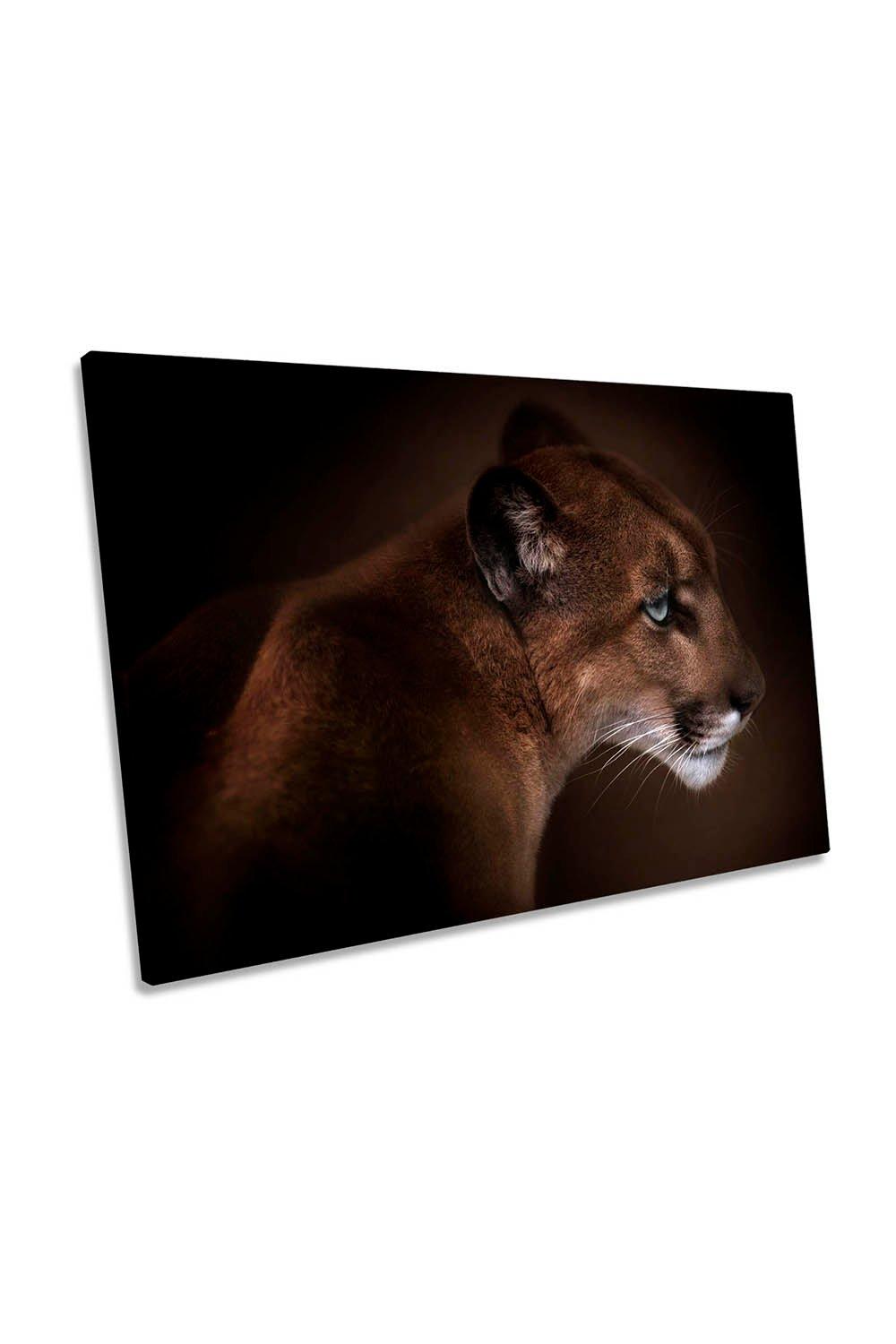 Puma Cat Animal Canvas Wall Art Picture Print