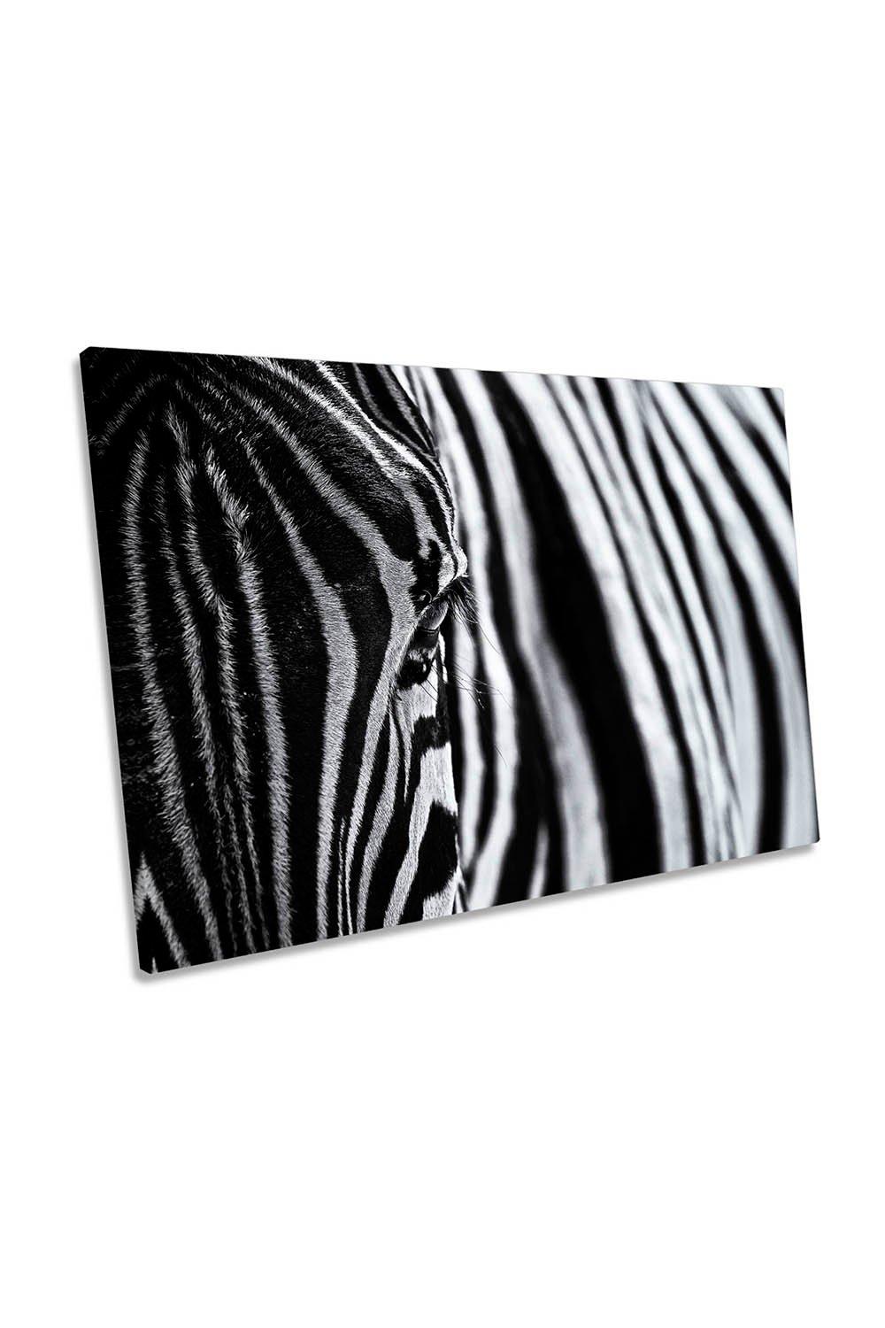 Zebra Stripes Black and White Canvas Wall Art Picture Print