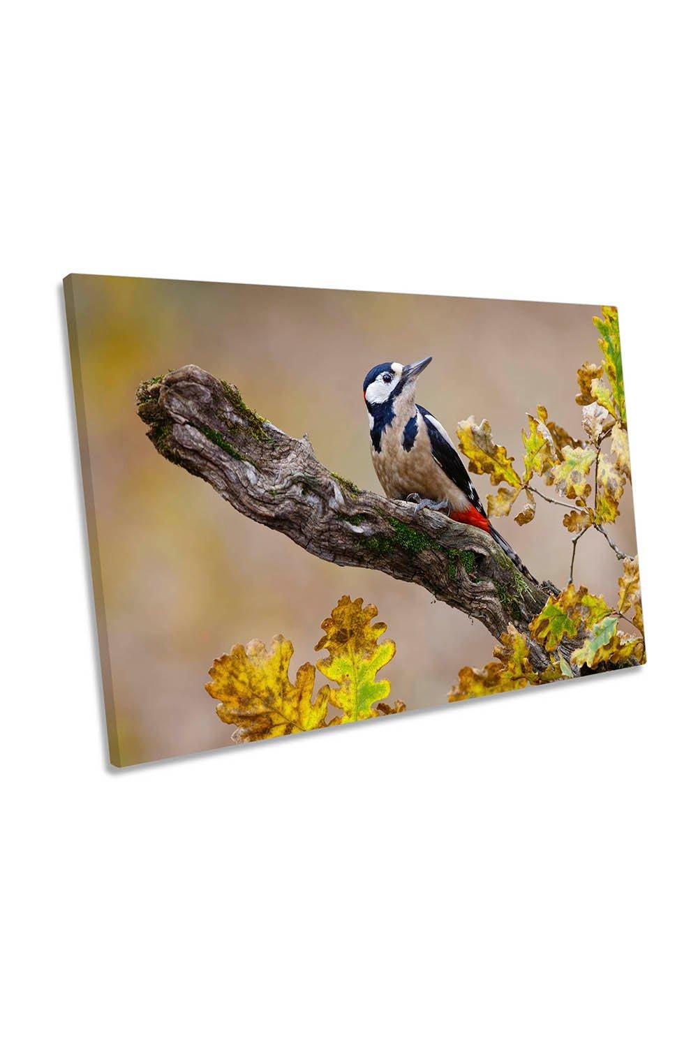Autumn Woodpecker Bird Wildlife Canvas Wall Art Picture Print