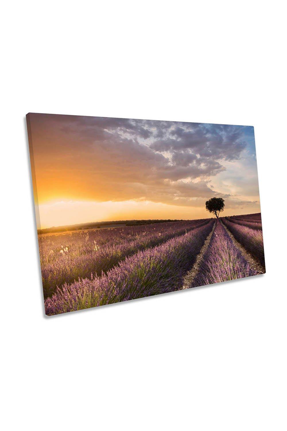 Destination Lavender Floral Sunset Canvas Wall Art Picture Print